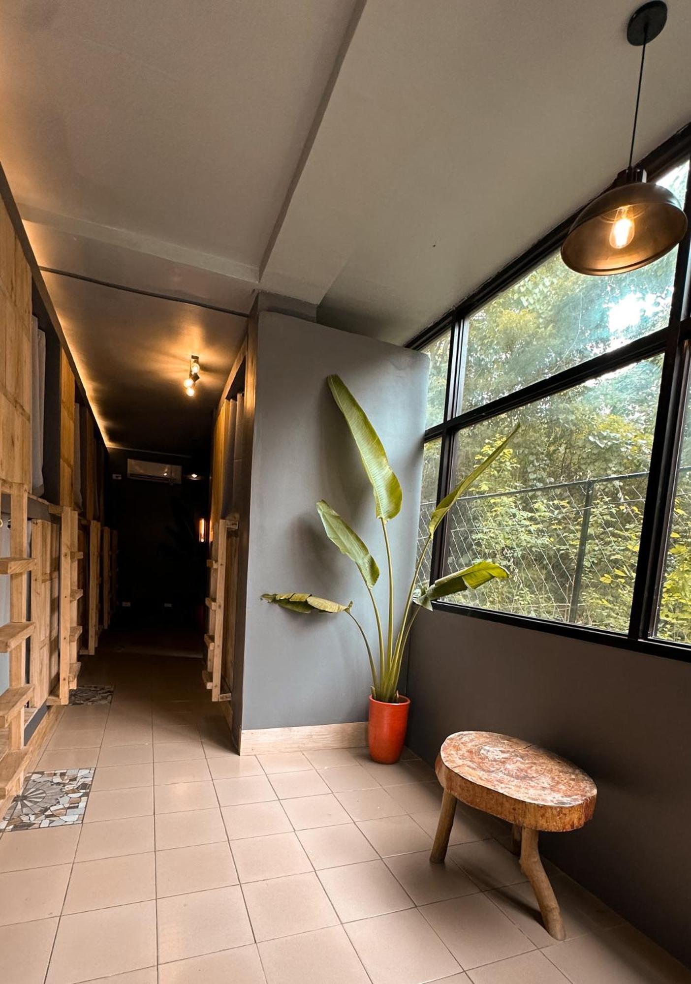 Resting Rabbit Hostel 锡基霍尔 外观 照片
